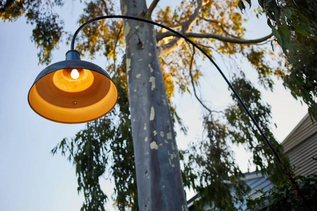 Close view from below of a recycled industrial warehouse light shade with a warm lamp, mounted on a curved black arm beside a gum tree