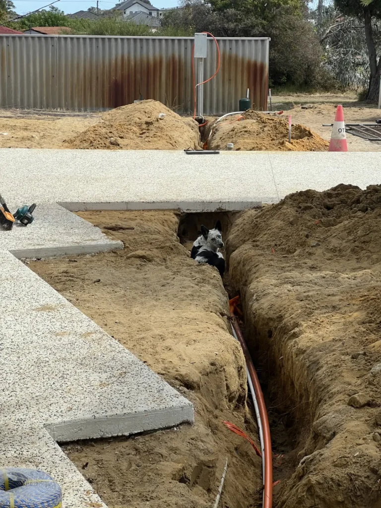 Trench routed beneath an existing concrete crossover so the finished surface stays intact