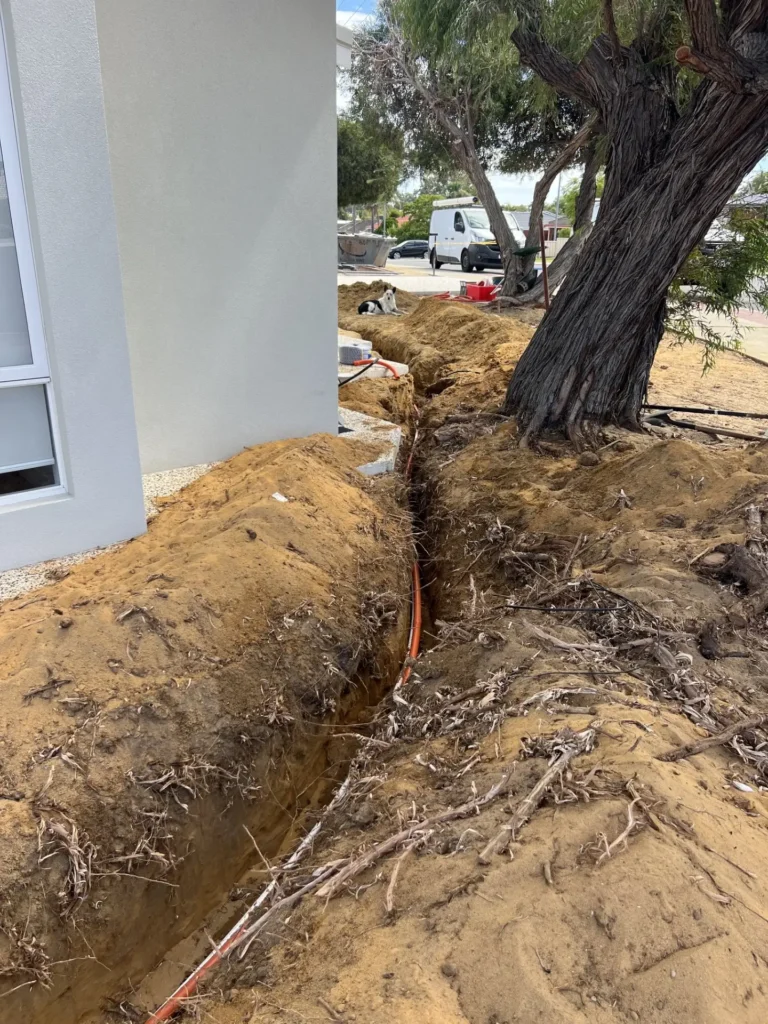 Hand-dug trench routed past the root zone of a mature verge tree in Warwick